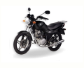 SYM XS 125